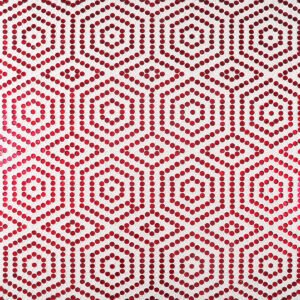 Close-up of the red and white hexagonal mosaic with grout
