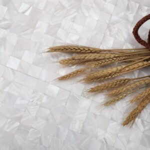 Mosaikfliesen aus Perlmutt – Weiß